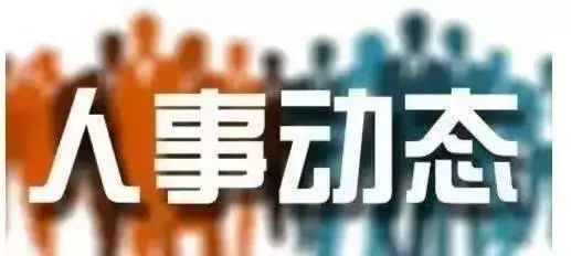 海南琼中最新任免动态