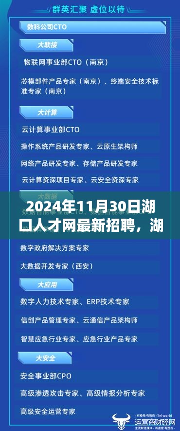 湖口在线最新招聘信息概览