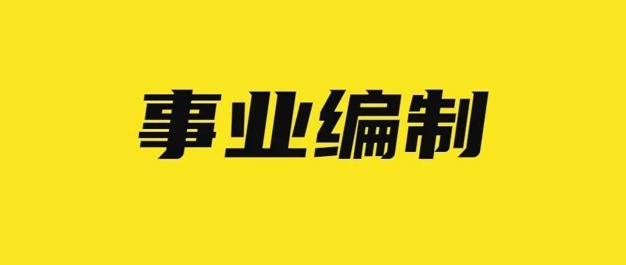 柘城司机最新招聘信息及职业前景展望