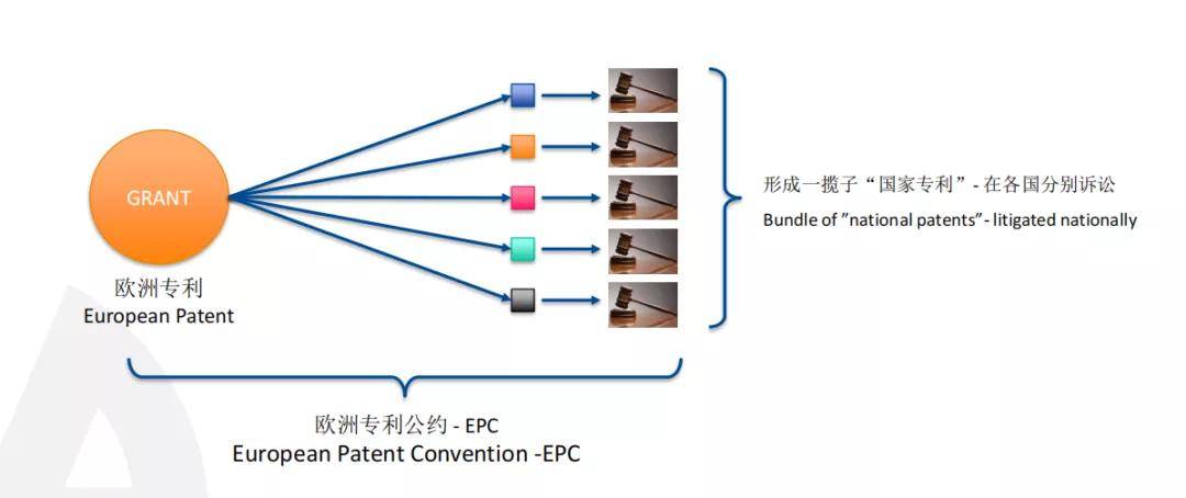 白银平川赵志莲的最新动态与影响