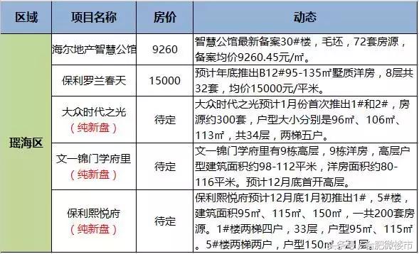 瑶海海尔公馆最新动态，揭开未来的繁华序幕